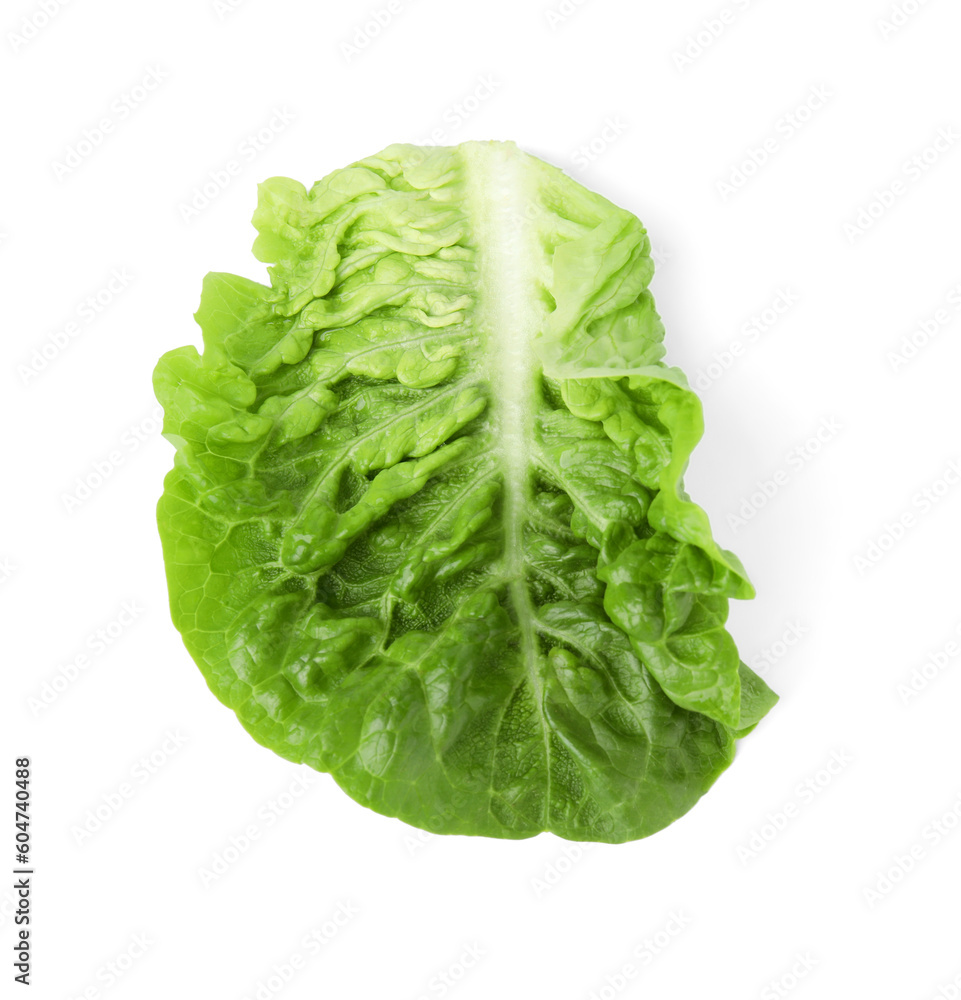 Fresh leaf of green romaine lettuce isolated on white, top view Fresh leaf of green romaine lettuce isolated on white, top view