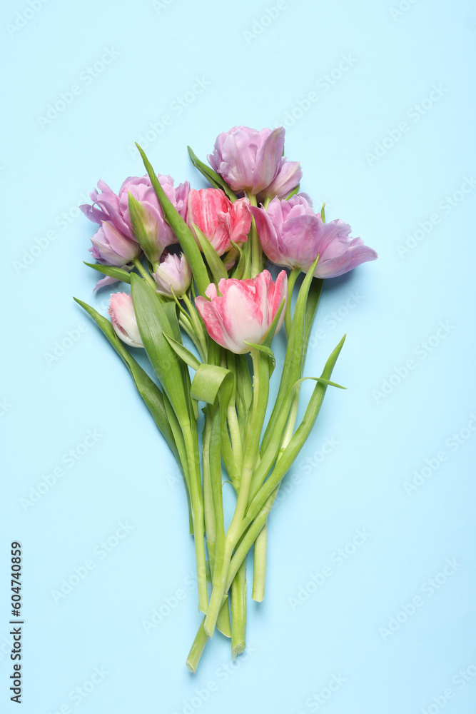 Beautiful colorful tulip flowers on light blue background, top view