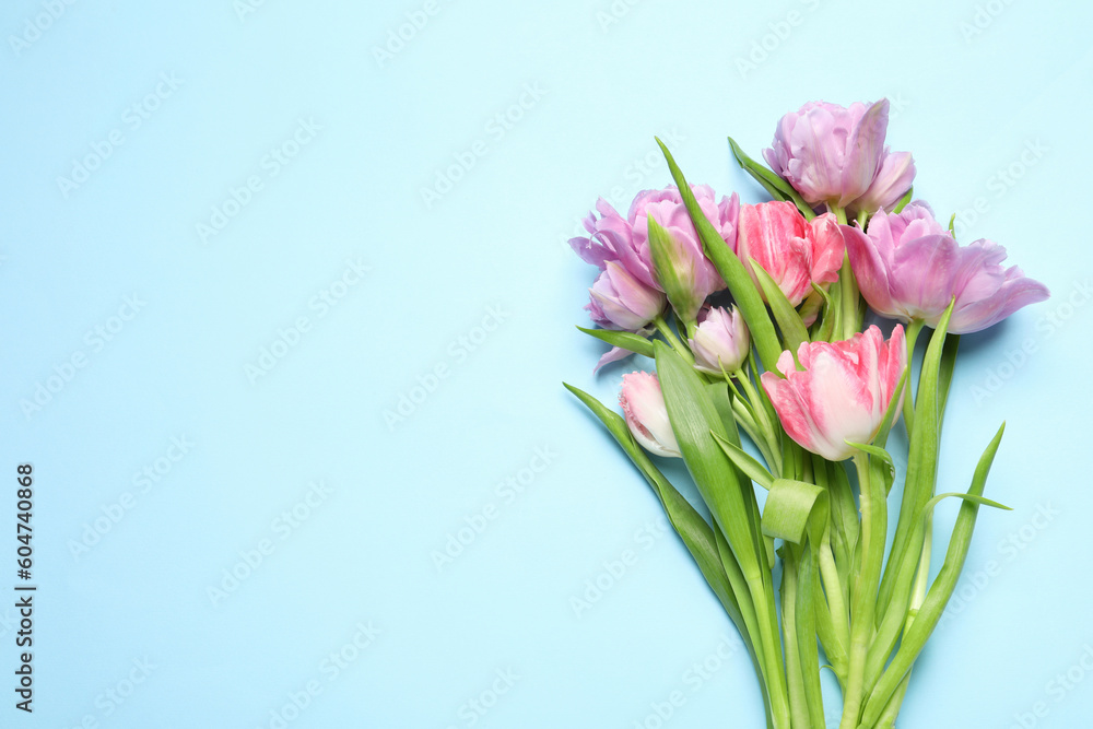 Beautiful colorful tulip flowers on light blue background, top view. Space for text Beautiful colorful tulip flowers on light blue background, top view. Space for text