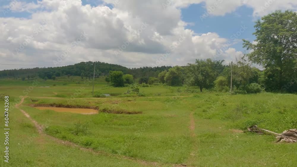 Beautiful village road of Bengal with few decorated village traditional houses. Paddy fields and forest both side of the road with hills in background. Beautiful village road of Bengal with few decorated village traditional houses. Paddy fields and forest both side of the road with hills in background.
