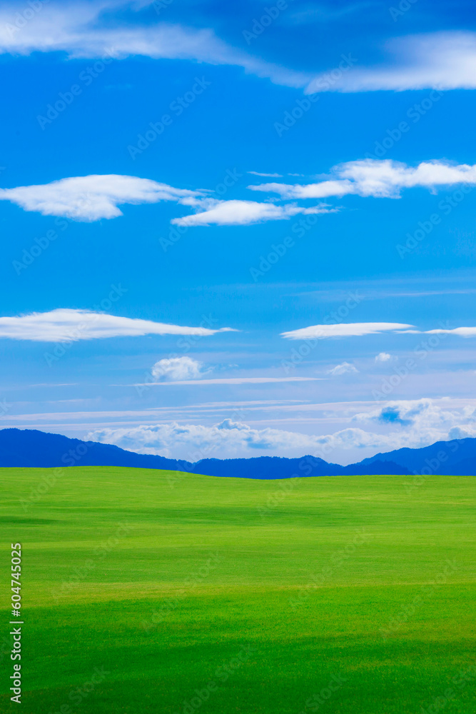 緑の草原と青空 緑の草原と青空