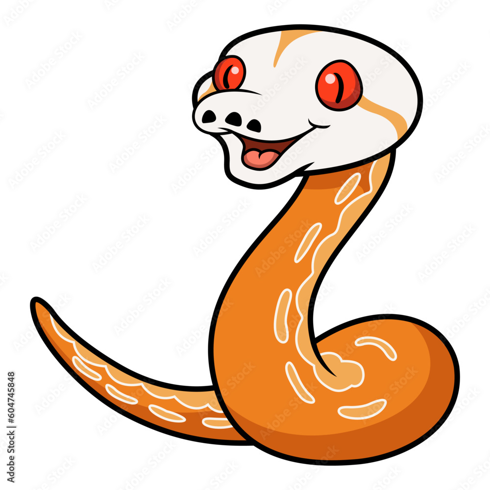 Fototapeta premium Cute albino sunfire tiger het genetic stripe reticulated python