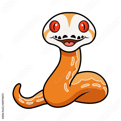 Cute albino sunfire tiger het genetic stripe reticulated python