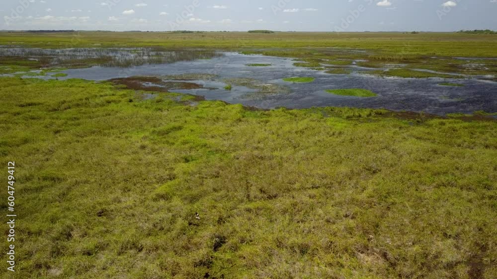 Wetlands of northeast Argentina shooted with drone Wetlands of northeast Argentina shooted with drone
