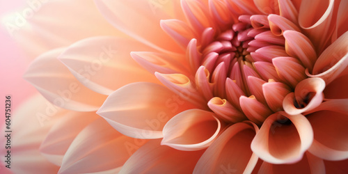 Flower close-up, background, wallpaper, texture, digital illustration, AI generated