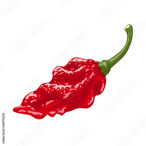 Vector illustration, ghost pepper chili, isolated on white background.