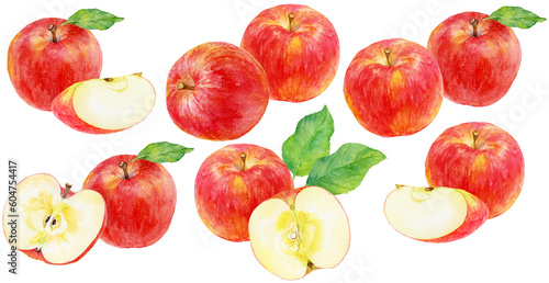リンゴの水彩画　さまざまなリンゴのカットイラスト素材集 © よしだなみこ / Namiko Y