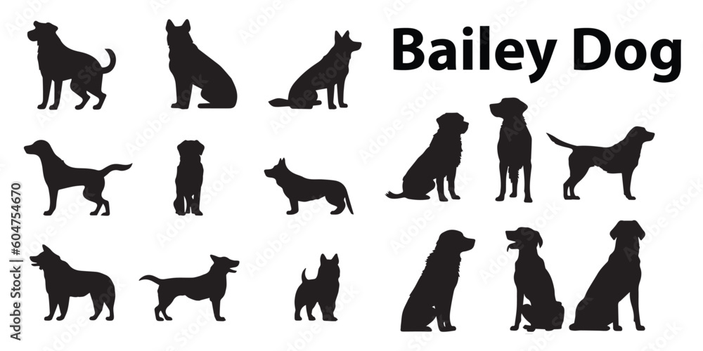 A set of Bailey dogs vector illustrations. A set of Bailey dogs vector illustrations.