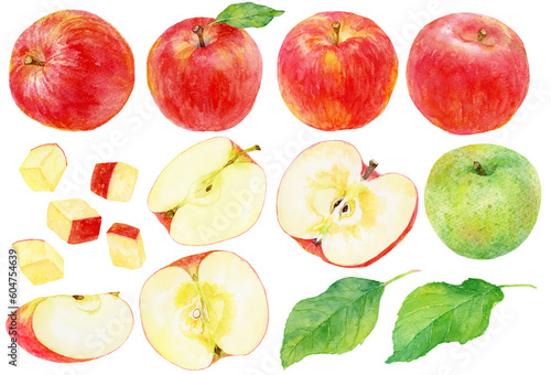 様々なリンゴの水彩画イラスト　カットされたリンゴや青りんごも含む　素材集