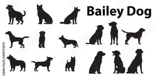 Foto A set of Bailey dogs vector illustrations.