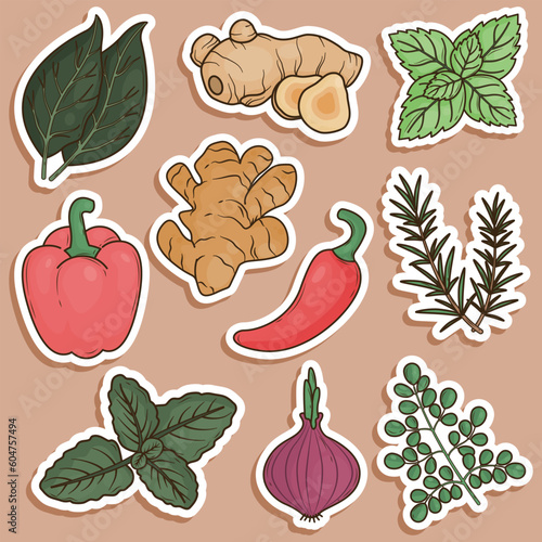 Fototapeta Naklejka Na Ścianę i Meble -  Set of Herbs and Spices Cute Sticker Illustration