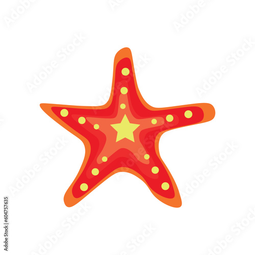 Sea starfish on white background