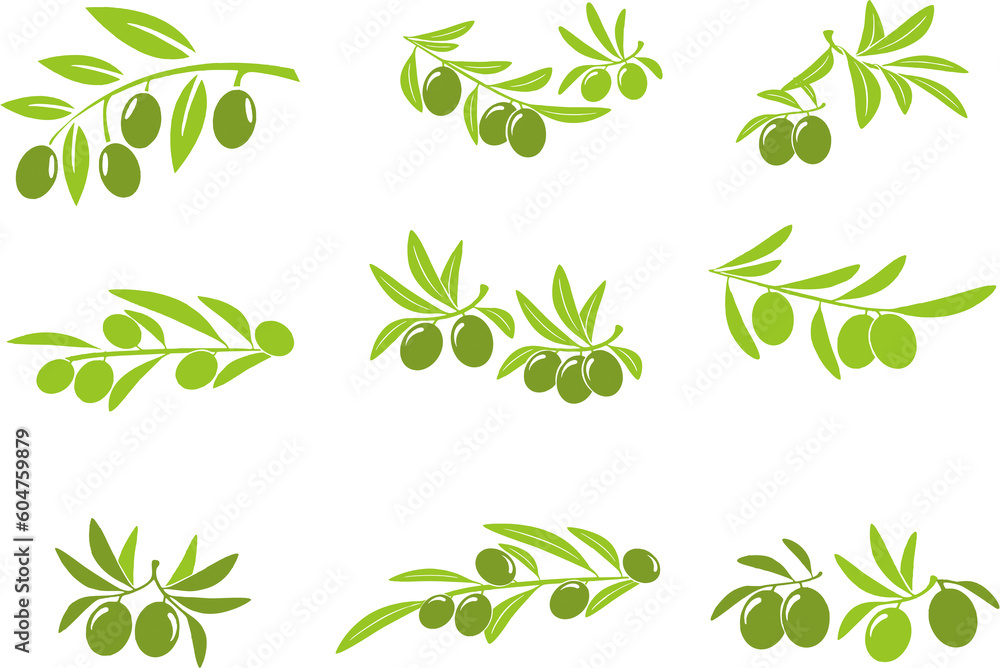 Green olive branches with olive fruits. Seamless plant pattern. Design help,reuse or manipulate for olive oil marketing companies and poster, banner, flyer printing.
