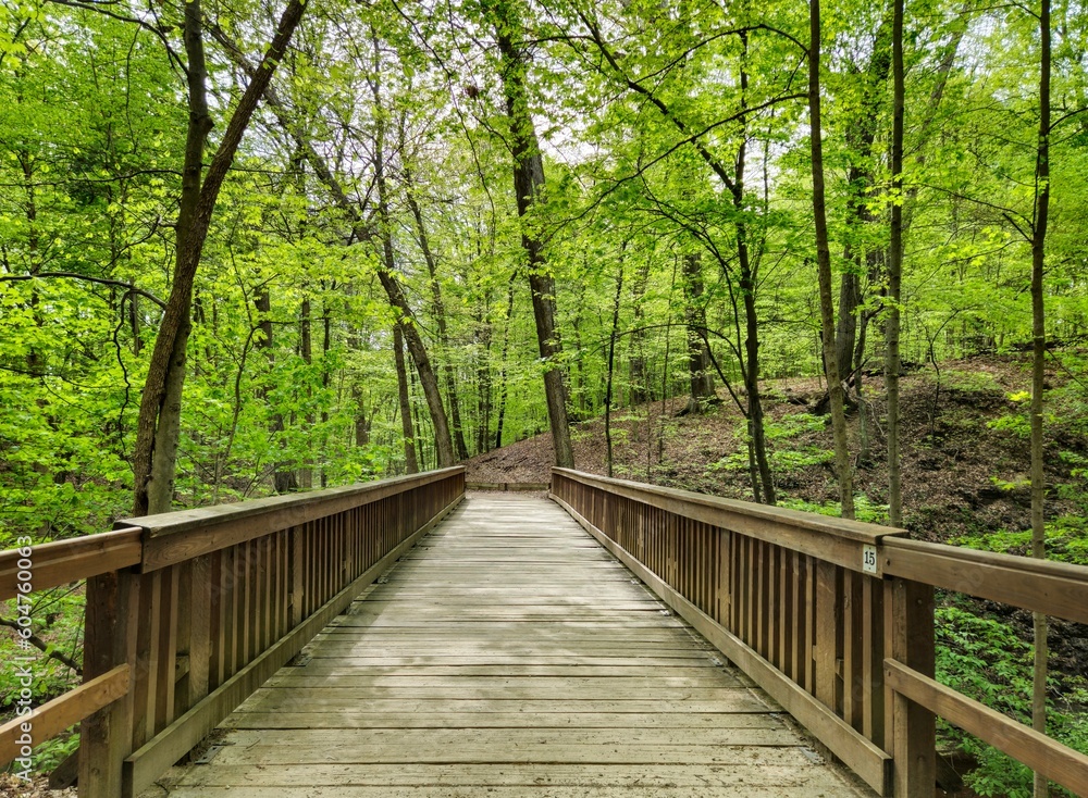 Highbanks Metro Park Sunlit Wooden Bridge in Spring Forest Highbanks Metro Park Sunlit Wooden Bridge in Spring Forest