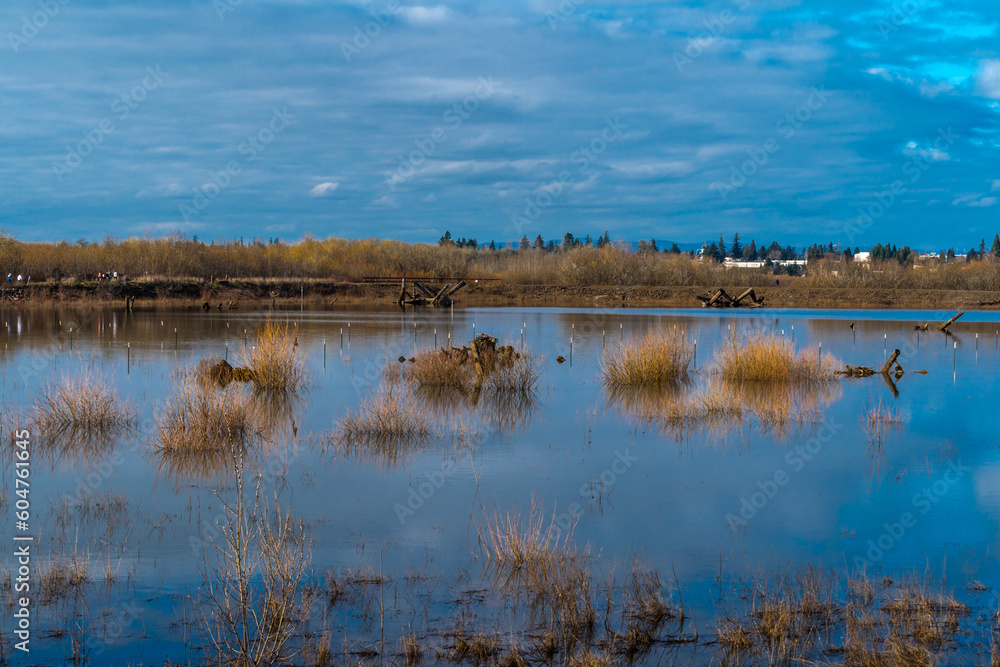 Jackson Bottom Wetlands Preserve, Hillsboro, Oregon