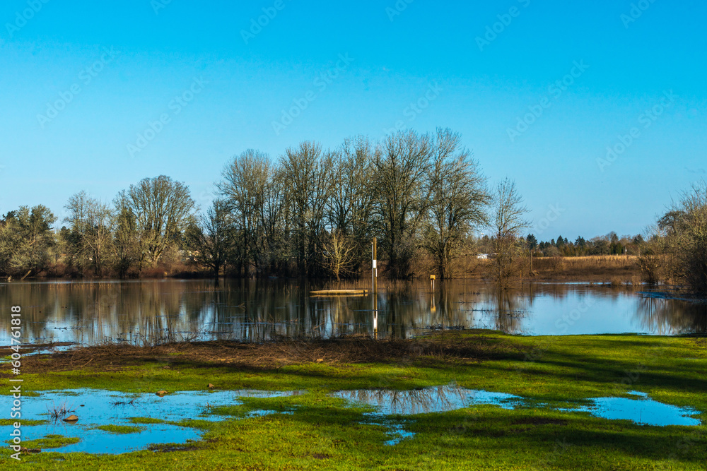 Jackson Bottom Wetlands Preserve, Hillsboro, Oregon Jackson Bottom Wetlands Preserve, Hillsboro, Oregon