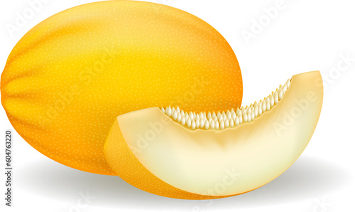 Canary melon realistic