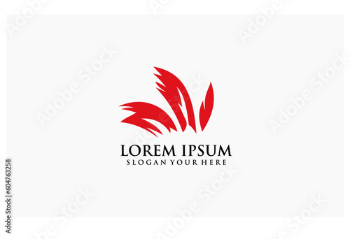 feather concept design mascot indian logo