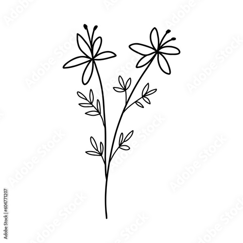 Hand drawn wildflower. Vector outline flower sketch. Line art doodle isolated on white