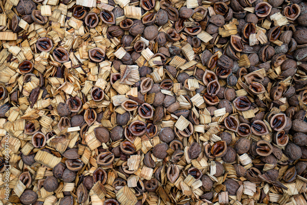 Walnut(くるみ) Walnut(くるみ)