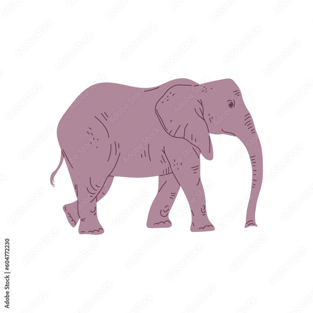 African grey elephant walking side view, flat vector illustration isolated.
