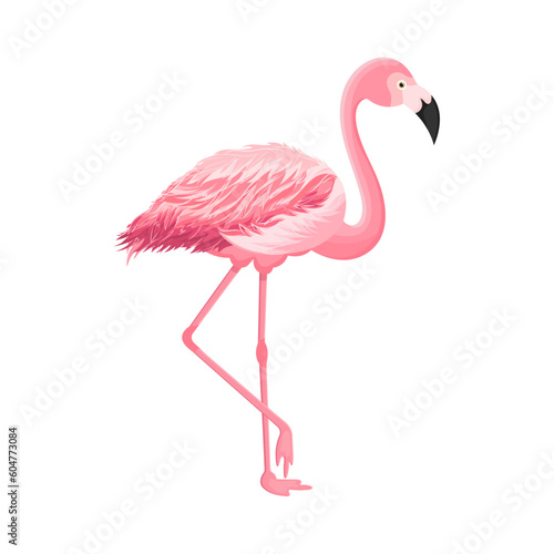 Cartoon flamingo on an isolated white background. Vector.