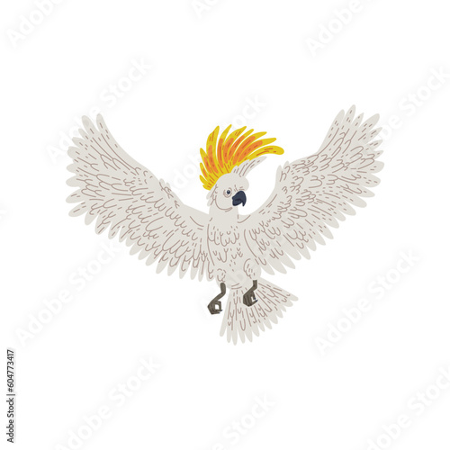 Cockatoo parrot flying with wings spread, flat vector illustration isolated.