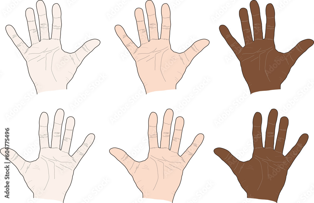 hand palm 手掌 てのひら hand palm 手掌 てのひら