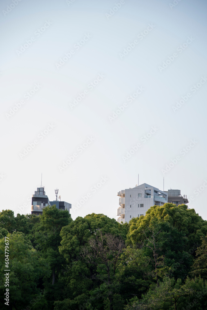Sky, buildings and trees in the suburbs of Tokyo