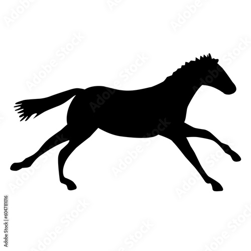 Horse Silhouette 