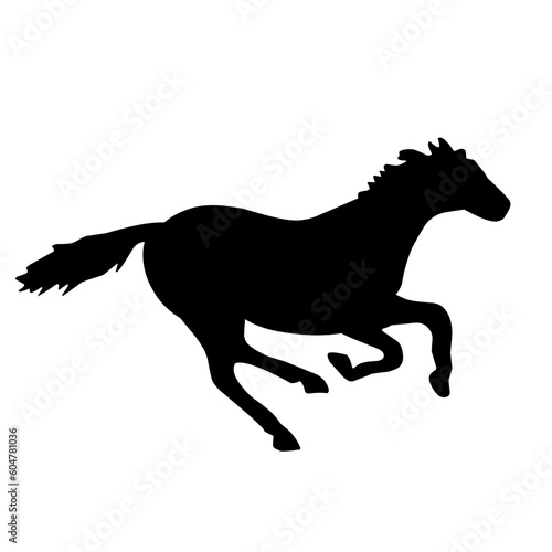 Horse Silhouette 