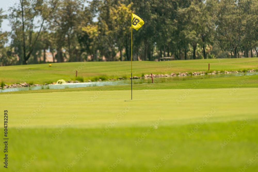 Obraz premium golf course in the morning