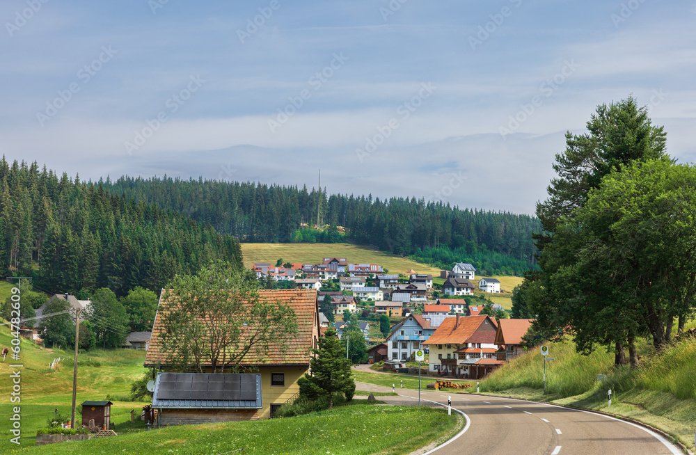 Naklejka premium landscape in the Schwarzwald region in southwestern Germany