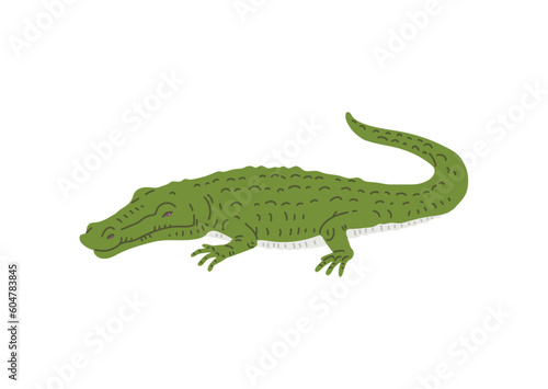 Crocodile animal flat vector illustration isolated on white background.