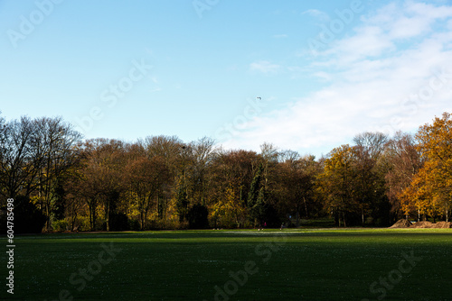 Trees, sky and field in a park
