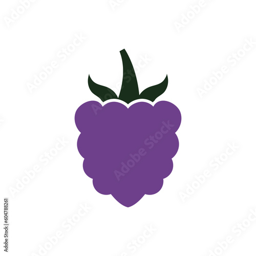 Raspberry icon 