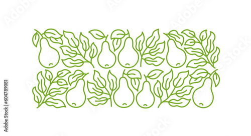 Pear fruit line ornament. Branches leaves and fruit. Editable outline stroke. Vector line.