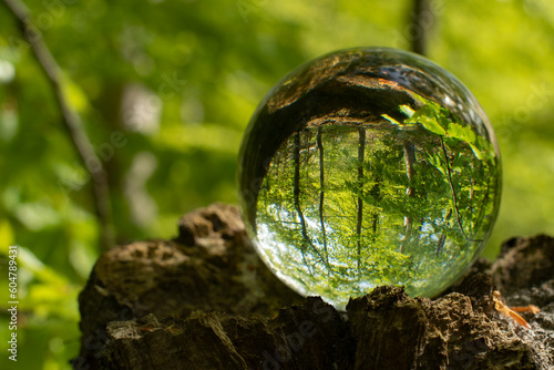 Nature and Climate change. A room made by photographing in a glassbowl making a room and reflecting the inside and outside nature.