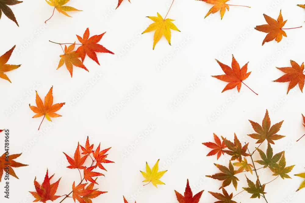 Autumnal concept with colorful leaves on white background. Flat lay, top view. Thanksgiving day concept. Autumnal concept with colorful leaves on white background. Flat lay, top view. Thanksgiving day concept.