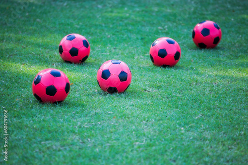 Soccer balls to practice on the training ground