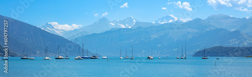 Switzerland lake and alps mountain