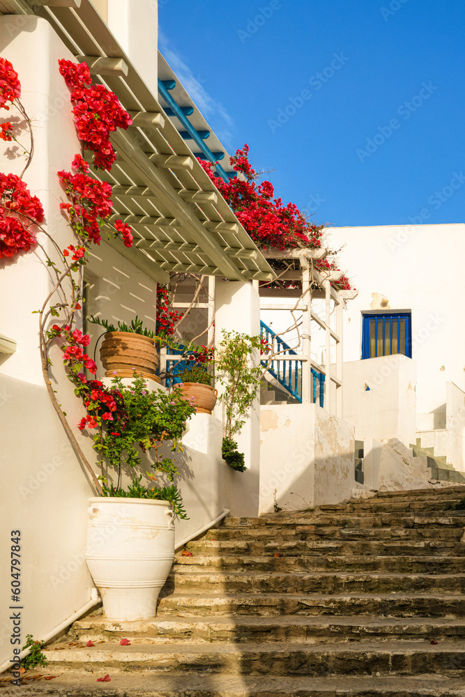 Whitewashed houses and streets, flower pots and bougainvillea of Greek