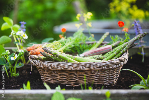 Asparagus and fresh organic vegetables in a basket