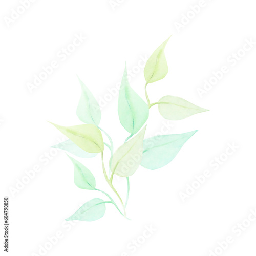 Watercolor drawing of half-transparent clear green and light-brown branch wirh leaves on white background. Nice picture for illustration, stickers, cards, scrapbooking © Belenova_art