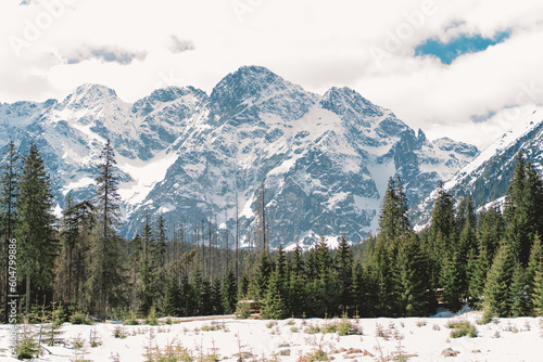 Fototapeta Naklejka Na Ścianę i Meble -  Tatra Mountains. Winter view of High Tatra Mountains. Mountain winter landscape tatry