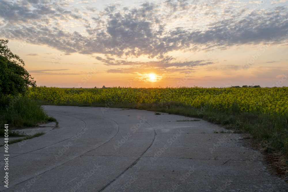 Concrete road running through spring fields during sunset