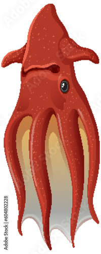 Photography Deep sea creatures vampire squid