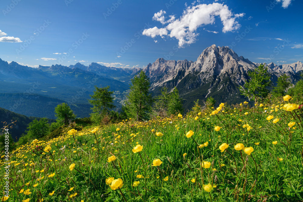 Italy, Veneto, View from Monte Rite to Antelao with meadow in foreground Italy, Veneto, View from Monte Rite to Antelao with meadow in foreground