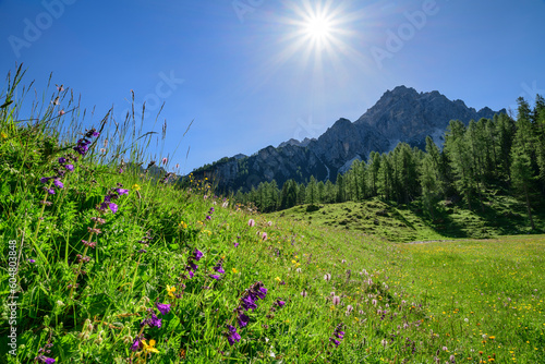 Italy, Veneto, Sun shining over alpine meadow in summer photo