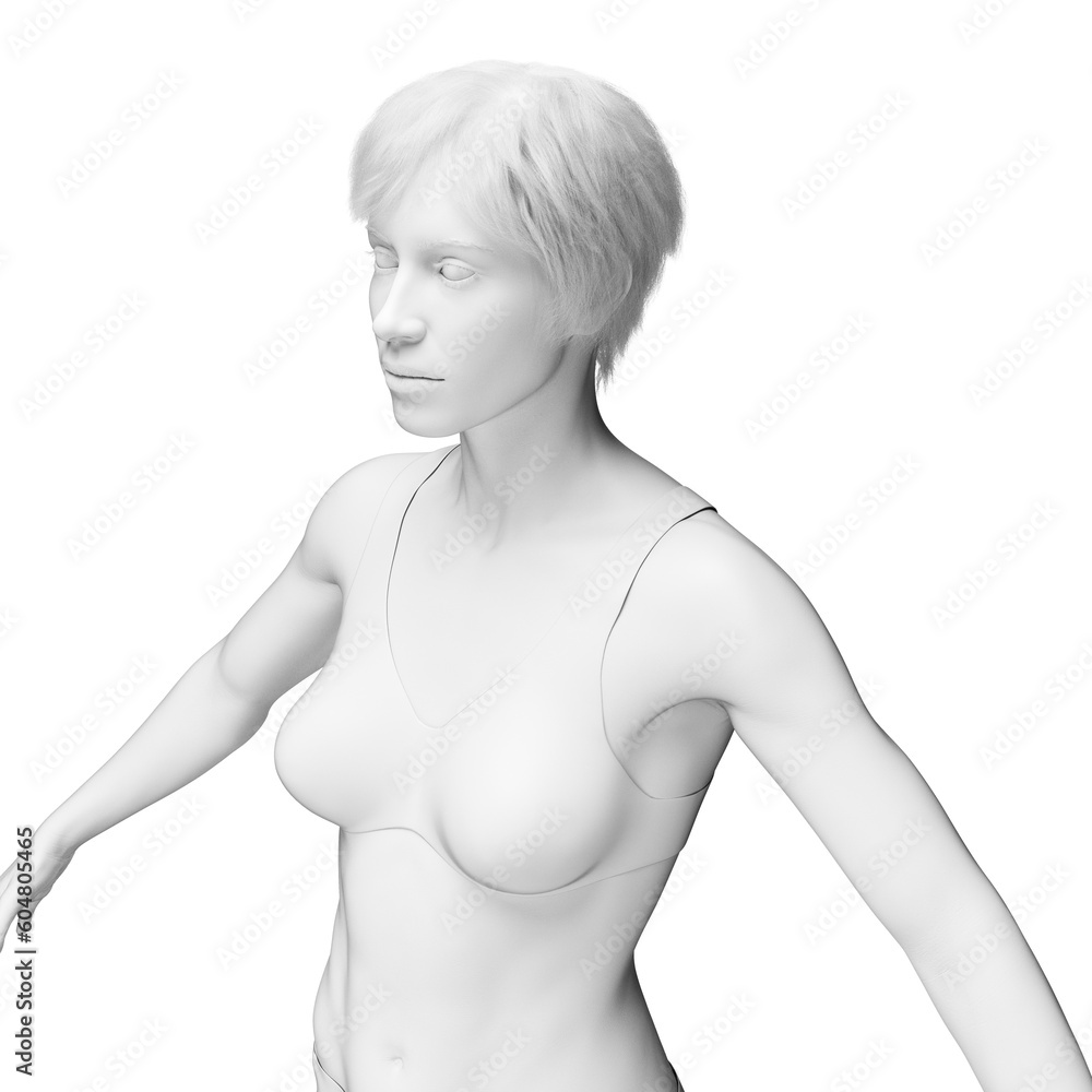 Naklejka premium 3d medical illustration of the female body